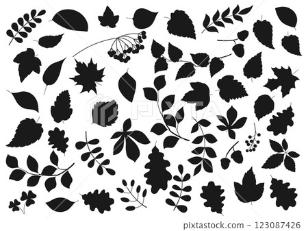 Tree leaves and plant seeds isolated nature and flora silhouette icons. Vector forest tree leaf of maple, birch, elm and chestnut, poplar, rowan berries and oak acorns, aspen and poplar sprout twigs 123087426