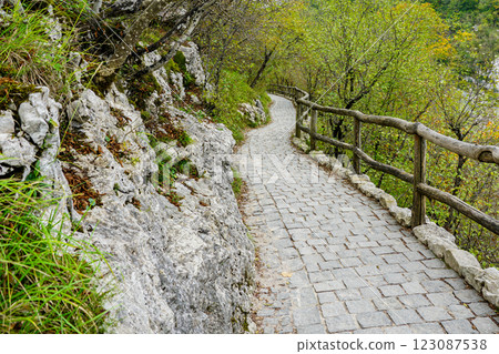 Paved hiking trail with wooden railings in a picturesque nature park, perspective view 123087538