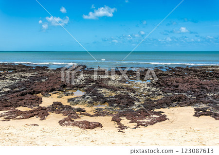 Praia da Volta da Jurema beach, Praia do Nautico, Fortaleza, Ceara State, Brazil. Praia da Volta da Jurema beach, Praia do Nautico, Fortaleza, Ceara State, Brazil. 123087613