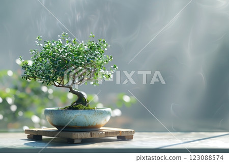 A serene image of a bonsai tree in a decorative pot, surrounded by soft, diffused light. 123088574
