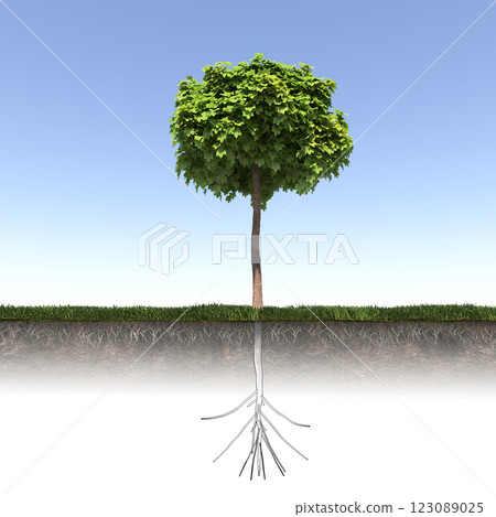 tree with strong and deep roots, 3d render tree with strong and deep roots, 3d render 123089025