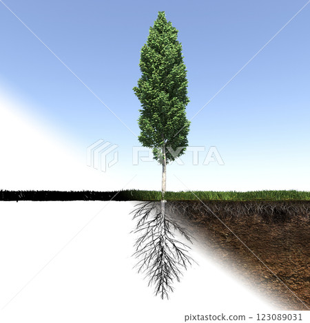 tree with strong and deep roots, 3d render 123089031