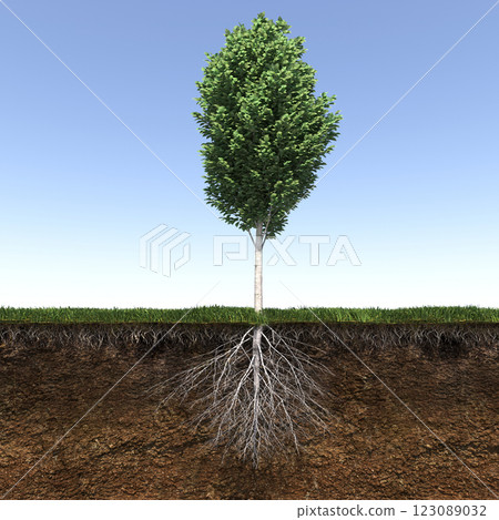 tree with strong and deep roots, 3d render 123089032