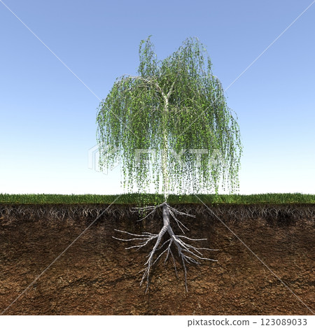 tree with strong and deep roots, 3d render tree with strong and deep roots, 3d render 123089033