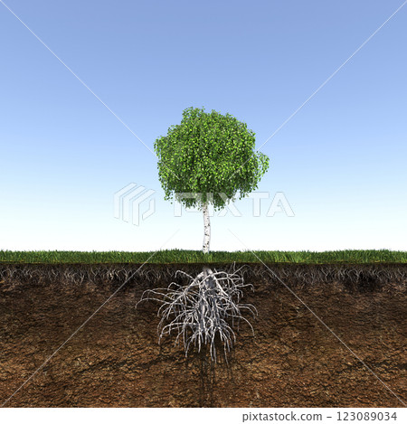tree with strong and deep roots, 3d render tree with strong and deep roots, 3d render 123089034