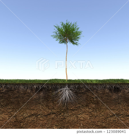 tree with strong and deep roots, 3d render tree with strong and deep roots, 3d render 123089041