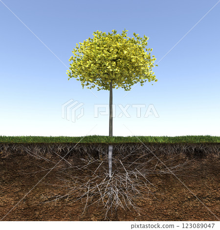 tree with strong and deep roots, 3d render tree with strong and deep roots, 3d render 123089047