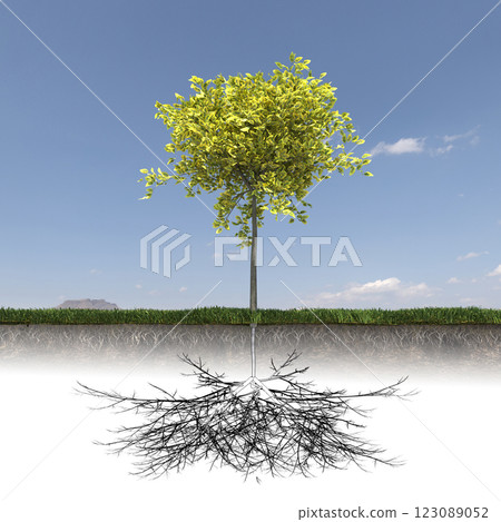 tree with strong and deep roots, 3d render tree with strong and deep roots, 3d render 123089052
