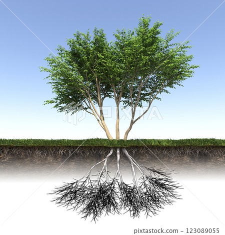 tree with strong and deep roots, 3d render tree with strong and deep roots, 3d render 123089055