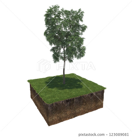tree and soil cut under it. Isolated garden element, 3D illustration, cg render tree and soil cut under it. Isolated garden element, 3D illustration, cg render 123089081