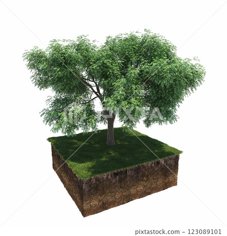 tree and soil cut under it. Isolated garden element, 3D illustration, cg render 123089101