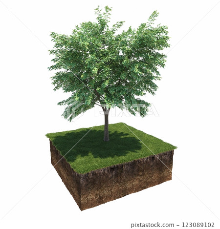 tree and soil cut under it. Isolated garden element, 3D illustration, cg render 123089102