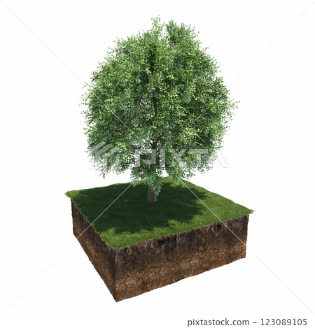 tree and soil cut under it. Isolated garden element, 3D illustration, cg render 123089105