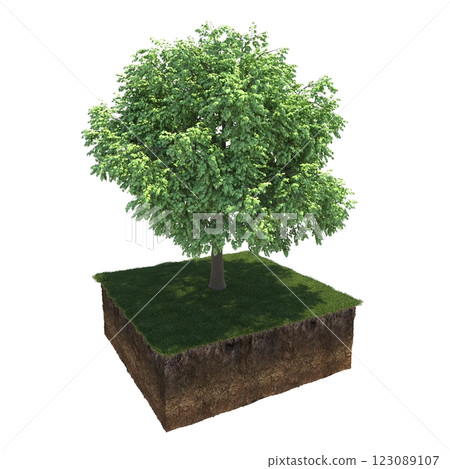 tree and soil cut under it. Isolated garden element, 3D illustration, cg render tree and soil cut under it. Isolated garden element, 3D illustration, cg render 123089107