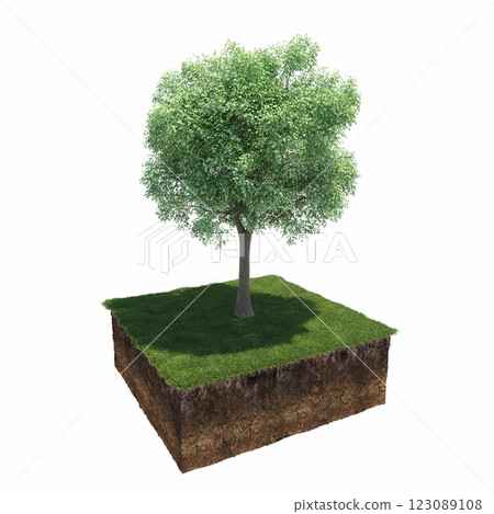 tree and soil cut under it. Isolated garden element, 3D illustration, cg render tree and soil cut under it. Isolated garden element, 3D illustration, cg render 123089108
