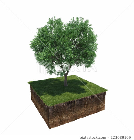 tree and soil cut under it. Isolated garden element, 3D illustration, cg render tree and soil cut under it. Isolated garden element, 3D illustration, cg render 123089109