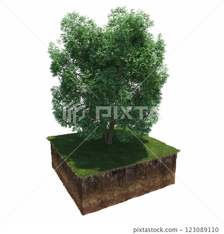 tree and soil cut under it. Isolated garden element, 3D illustration, cg render 123089110