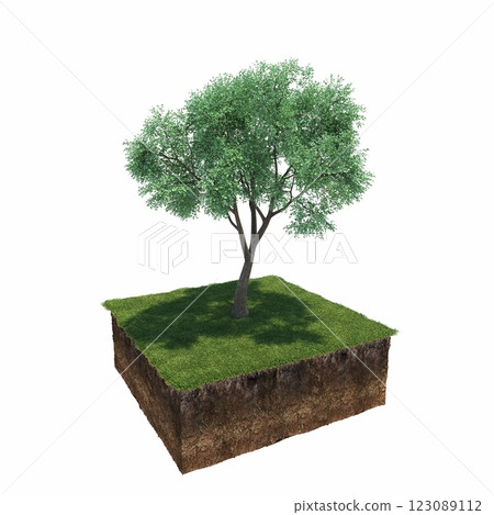 tree and soil cut under it. Isolated garden element, 3D illustration, cg render 123089112