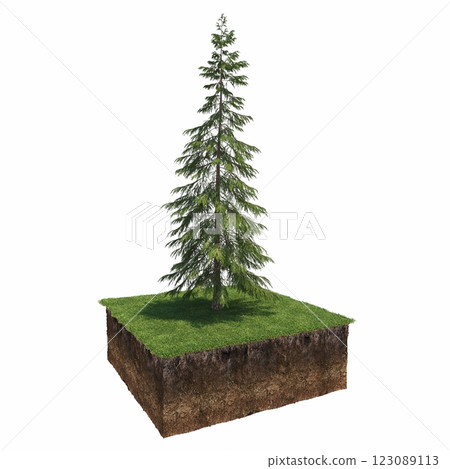 tree and soil cut under it. Isolated garden element, 3D illustration, cg render tree and soil cut under it. Isolated garden element, 3D illustration, cg render 123089113