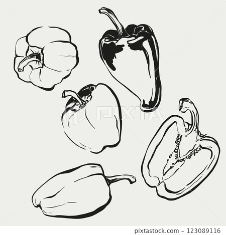 Vector vegetable doodle illustration of bell pepper. Hand-drawn garden harvest sketch. Organic farm graphics. Tasty food for design, veggie market drawing print, fabric or background. 123089116