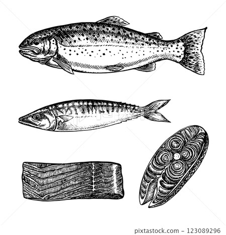 A set of illustrations with fish, trout, mackerel, pieces of fish. Vector, hand-drawn graphics. Black and white image of seafood. Separate from the background. For menus, recipe books, packages, label 123089296