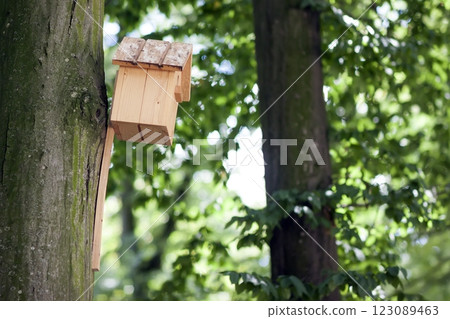 Wooden yellow bird house or nesting box on a tree in summer park or forest. Wooden yellow bird house or nesting box on a tree in summer park or forest. 123089463