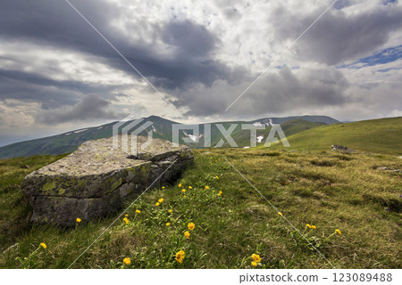 Wide panorama of lit by sun mountain plateau with green grass, patches of snow and big boulders on distant mountains under cloudy sky background. Beauty of nature, tourism and traveling concept. 123089488