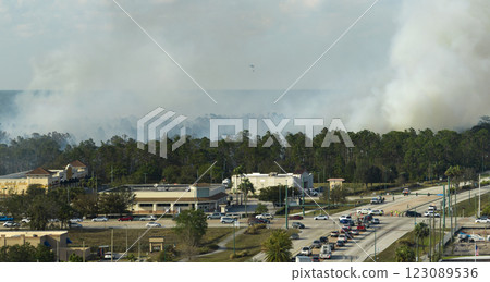 View from above of lagre wildfire burning severely in North Port city, Florida. Hot flames in forest with toxic smoke polluting atmosphere View from above of lagre wildfire burning severely in North Port city, Florida. Hot flames in forest with toxic smoke polluting atmosphere 123089536