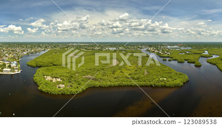 View from above of Florida everglades with green vegetation between ocean water inlets. Natural habitat of many tropical species in wetlands View from above of Florida everglades with green vegetation between ocean water inlets. Natural habitat of many tropical species in wetlands 123089538