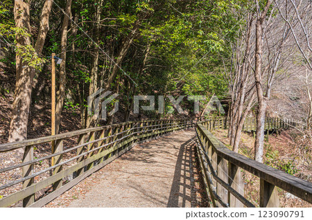 大阪府立森林星田公園風景川藏路交野市 123090791
