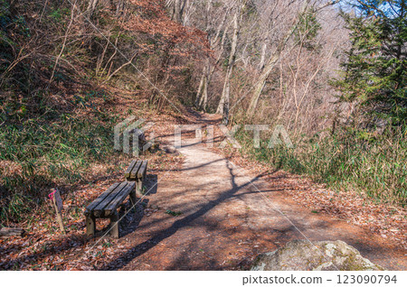 Osaka Prefectural Forest Hoshida Park Scenery Kawazoi Road Katano City Osaka Prefectural Forest Hoshida Park Scenery Kawazoi Road Katano City 123090794