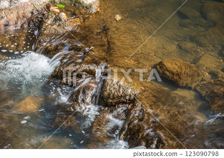 交野市的清流天野川 123090798