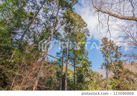 Osaka Prefectural Forest Hoshida Park Scenery, Katano City Osaka Prefectural Forest Hoshida Park Scenery, Katano City 123090808