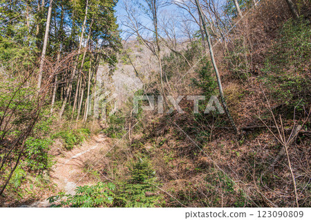 Osaka Prefectural Forest Hoshida Park Scenery, Song Path, Katano City Osaka Prefectural Forest Hoshida Park Scenery, Song Path, Katano City 123090809