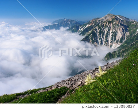 Summer Hakuba Sanzan, Hakuba Yari-ga-take and sea of clouds Summer Hakuba Sanzan, Hakuba Yari-ga-take and sea of clouds 123090827
