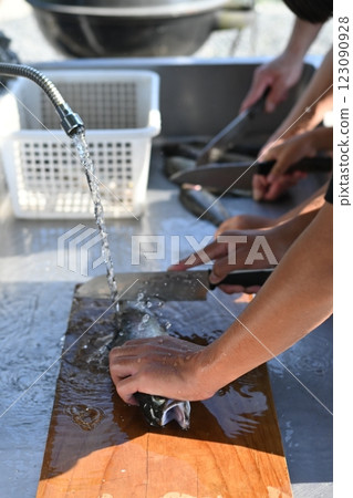 Processing the caught fish 123090928