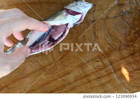 加工捕獲的魚 加工捕獲的魚 123090934