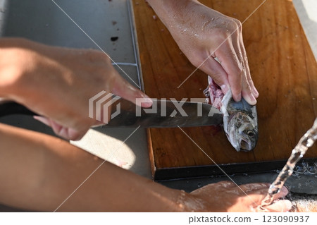 Processing the caught fish 123090937