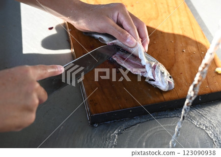 加工捕獲的魚 123090938