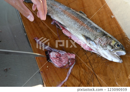 加工捕獲的魚 123090939