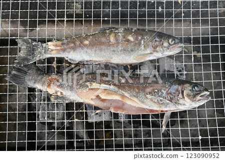 用炭火燒魚 用炭火燒魚 123090952