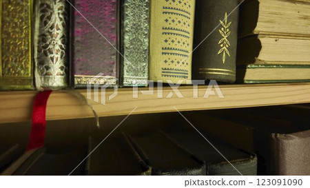 View of two rows of old books in the book collection. Vintage books in an antique bookcase. Books in a bookstore or antique shop. The concept of education, wisdom and love of knowledge. Close-up View of two rows of old books in the book collection. Vintage books in an antique bookcase. Books in a bookstore or antique shop. The concept of education, wisdom and love of knowledge. Close-up 123091090