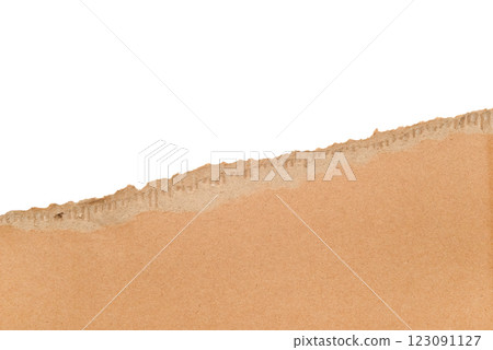 Torn cardboard Paper with space for text. Torn cardboard isolated on white background. Banner with copy space. High quality photo Torn cardboard Paper with space for text. Torn cardboard isolated on white background. Banner with copy space. High quality photo 123091127