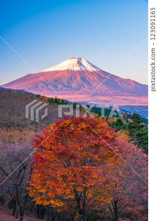 【山梨縣】從二曲嶺遠眺新雪覆蓋的富士山，秋葉美麗 123091165