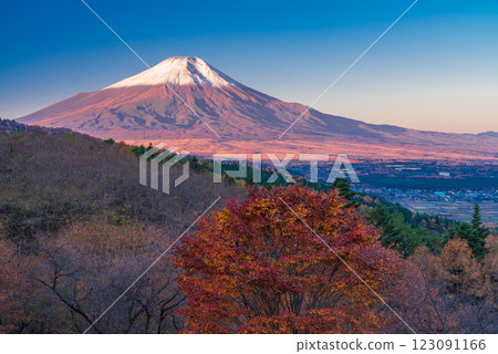 【山梨縣】從二曲嶺遠眺新雪覆蓋的富士山,秋葉美麗 【山梨縣】從二曲嶺遠眺新雪覆蓋的富士山,秋葉美麗 123091166