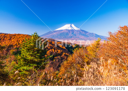 【山梨縣】從二曲嶺遠眺新雪覆蓋的富士山，秋葉美麗 123091178