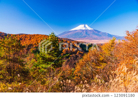 【山梨縣】從二曲嶺遠眺新雪覆蓋的富士山，秋葉美麗 123091180