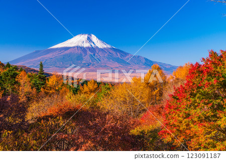 【山梨縣】從二曲嶺遠眺新雪覆蓋的富士山，秋葉美麗 123091187