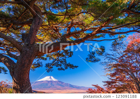 【山梨縣】從二曲嶺遠眺新雪覆蓋的富士山,秋葉美麗 【山梨縣】從二曲嶺遠眺新雪覆蓋的富士山,秋葉美麗 123091188