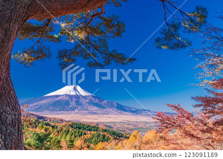 【山梨縣】從二曲嶺遠眺新雪覆蓋的富士山,秋葉美麗 【山梨縣】從二曲嶺遠眺新雪覆蓋的富士山,秋葉美麗 123091189